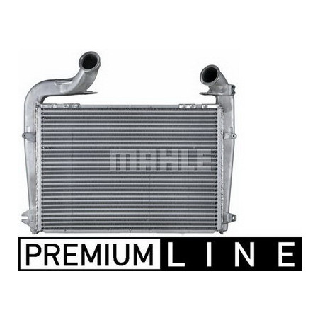 MAHLE-CI256000P