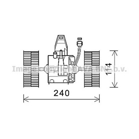 AVA-BW8491