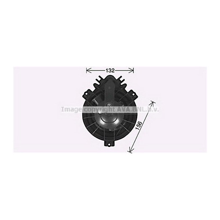 AVA-BW8584