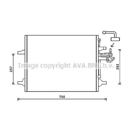 AVA-VO5166