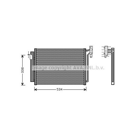 AVA-BW5281