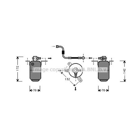 AVA-MSD004