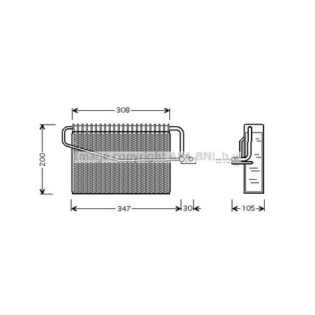 AVA-MSV455