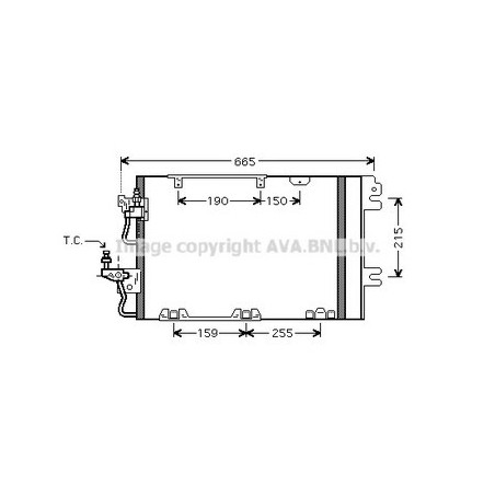 AVA-OL5384