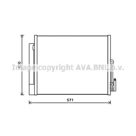 AVA-OL5560