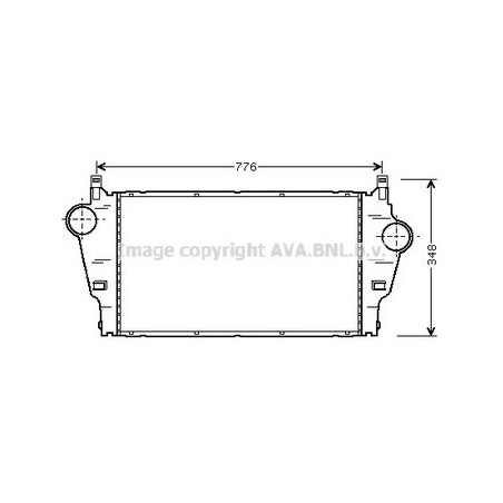 AVA-RT4295