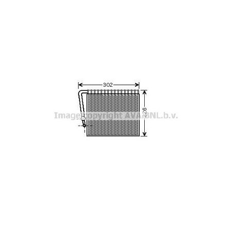 AVA-RTV356