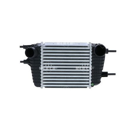 NRF-30987