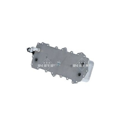 NRF-31806