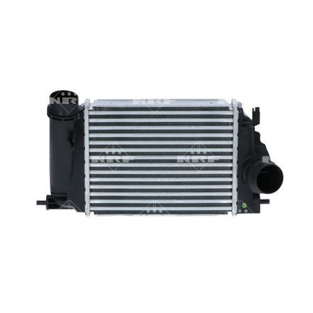 NRF-309021